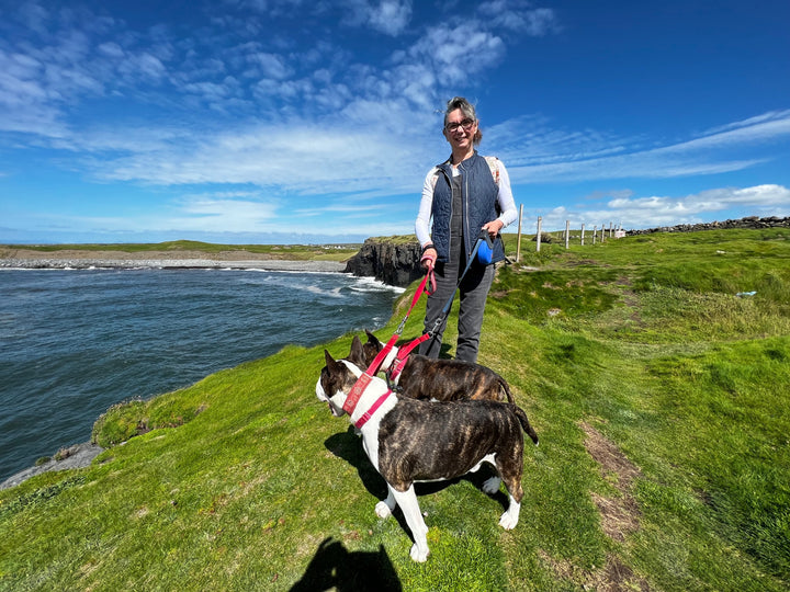 A celebration of all things green and clean ☘️
