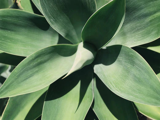 We're on the FreeFrom Awards Shortlist 2019!