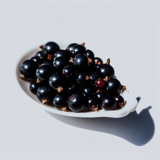 The Wrinkle-Minimising Blackcurrant